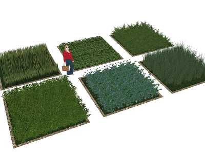 Ground Cover Plants Various Types Displayed In Garden With Person Selecting 3d model