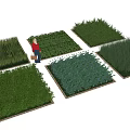 Ground Cover Plants Various Types Displayed In Garden With Person Selecting