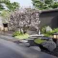 Serene Courtyard Garden With Blooming Cherry Blossom Tree Stone Stepping Path And Stone Lantern