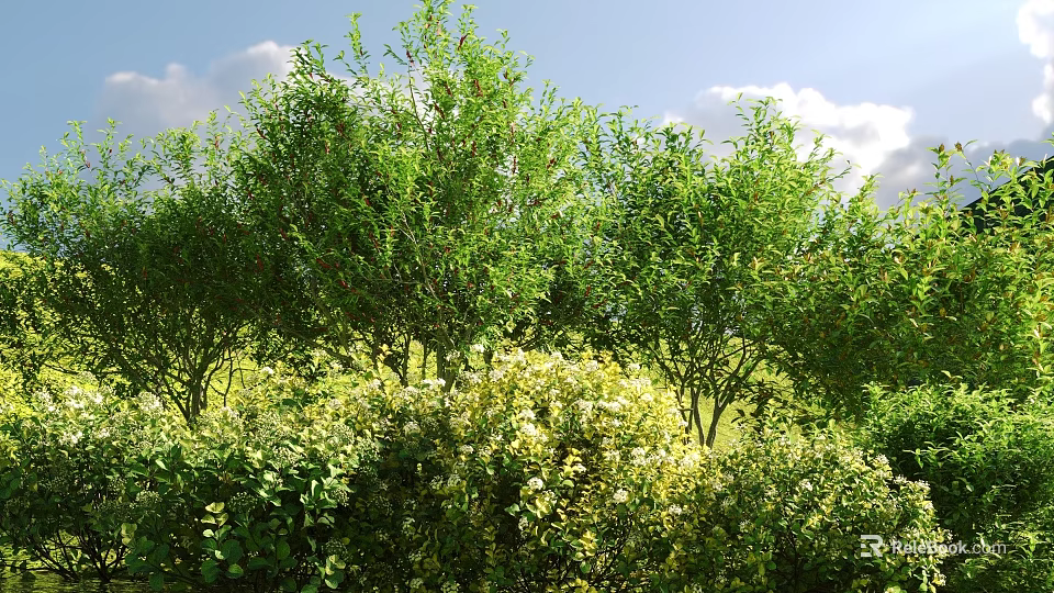 Lush Green Shrubs In Outdoor Garden With Dense Foliage And Natural Sunlight 3d model 