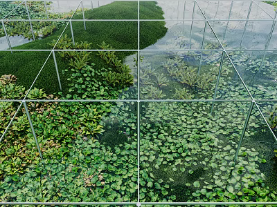Garden Landscape with Glass Cubes Divided Sections and Various Green Aquatic Plants 3d model