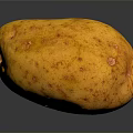 Ripe Orange Papaya with Red Spots on Surface Placed on Dark Background with Reflection