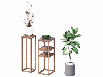 Potted Plants Display With Wooden Stands Multi Tiered Shelves And Green Foliage 3d model