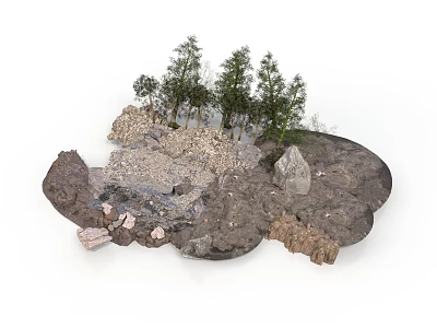 Green Plants And Small Trees Growing In Natural Soil With Rocks 3d model