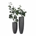 Modern Gray Diamond Patterned Vases with Green Leafy Branches and Plants