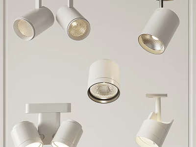Modern White Downlights And Spotlights With Different Styles For Indoor Lighting 3d model