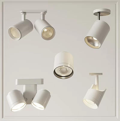 Modern White Downlights And Spotlights With Different Styles For Indoor Lighting 3d model
