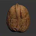 Single Natural Walnut With Brown Rough Textured Shell On White Background 3d model
