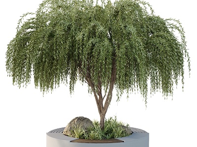 Modern Tree Pool Landscape Tree model