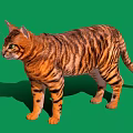 Tabby Cat Standing With Striped Fur Yellow Eyes On Green Background