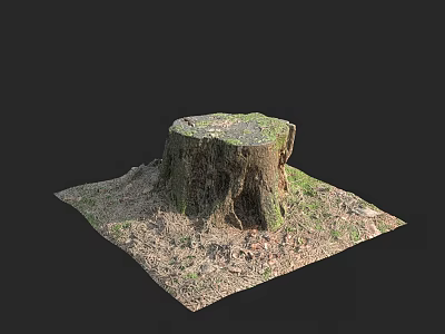 Rustic Wooden Stump Decor With Natural Stone And Green Grass Elements 3d model
