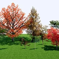 Vibrant Trees Growing With Red Orange Green Leaves On Green Grassland