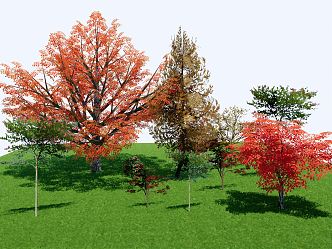 modern tree arbor 3d model