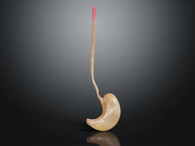 Sleek Beige Spoon With Red Handle Tip Displayed On Black Background Showing Reflection 3d model