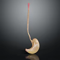 Sleek Beige Spoon With Red Handle Tip Displayed On Black Background Showing Reflection