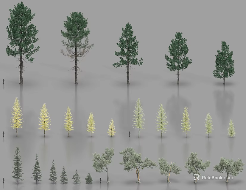 Various Arbor Trees Showcasing Different Sizes Diverse Forms And Green Yellow Gray Foliage 3d model