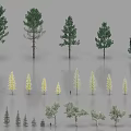 Various Arbor Trees Showcasing Different Sizes Diverse Forms And Green Yellow Gray Foliage 3d model