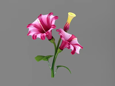 Vibrant Pink And Yellow Flowers With Green Stem And Fresh Leaves 3d model