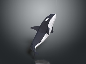 Modern Whale Cartoon Whale Mammal Marine Mammal 3d model