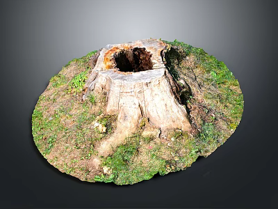 Natural Old Tree Stump With Hollow Center Surrounded By Green Grass 3d model