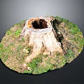 Natural Old Tree Stump With Hollow Center Surrounded By Green Grass