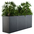 Bonsai Potted Plants In Gray Concrete Rectangular Container With Lush Green Foliage 3d model