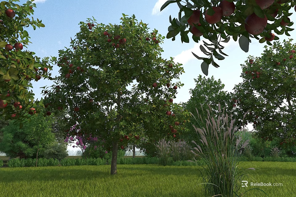 Garden Landscape With Lush Green Lawn Fruit Trees Red Fruits Tall Grass And Blue Sky 3d model 