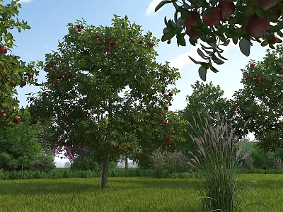 Garden Landscape With Lush Green Lawn Fruit Trees Red Fruits Tall Grass And Blue Sky 3d model