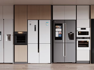 Modern Kitchen With Built in Refrigerators Freezers And Wooden Cabinets Appliances 3d model