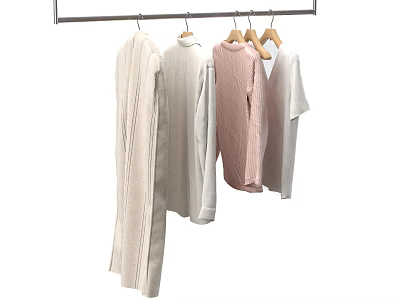Silver Metal Clothes Hanger With Hanging Various Colored Casual Clothes 3d model