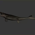 Prehistoric Marine Reptile 3D Model With Open Mouth And Streamlined Body Fins