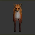 3D Modeled Orange Fox Game Movie Character With White Chest Standing On Gray Background