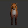 Fox Cartoon Fox Small Fox Cartoon Characters Cartoon Animals Cartoon Small Animals Game Characters 3d model