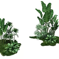 Natural Photo Spot With Lush Green Plants Large Leaves And Small Greenery In Grass Area
