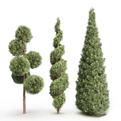Three Ornamental Trees with Rounded Spiral and Conical Shapes Lush Foliage Isolated 3d model