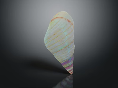 Decorative Ornament Set With Colorful Striped Iridescent Seashell For Home Tabletop Decoration 3d model