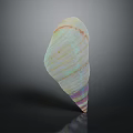 Decorative Ornament Set With Colorful Striped Iridescent Seashell For Home Tabletop Decoration