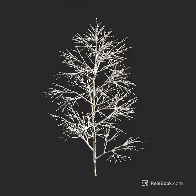 Bare Branch Tree With Clear Branch Structure Against Black Background 3d model