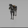 Gray and white horse with black mane and brown leather saddle standing 3d model