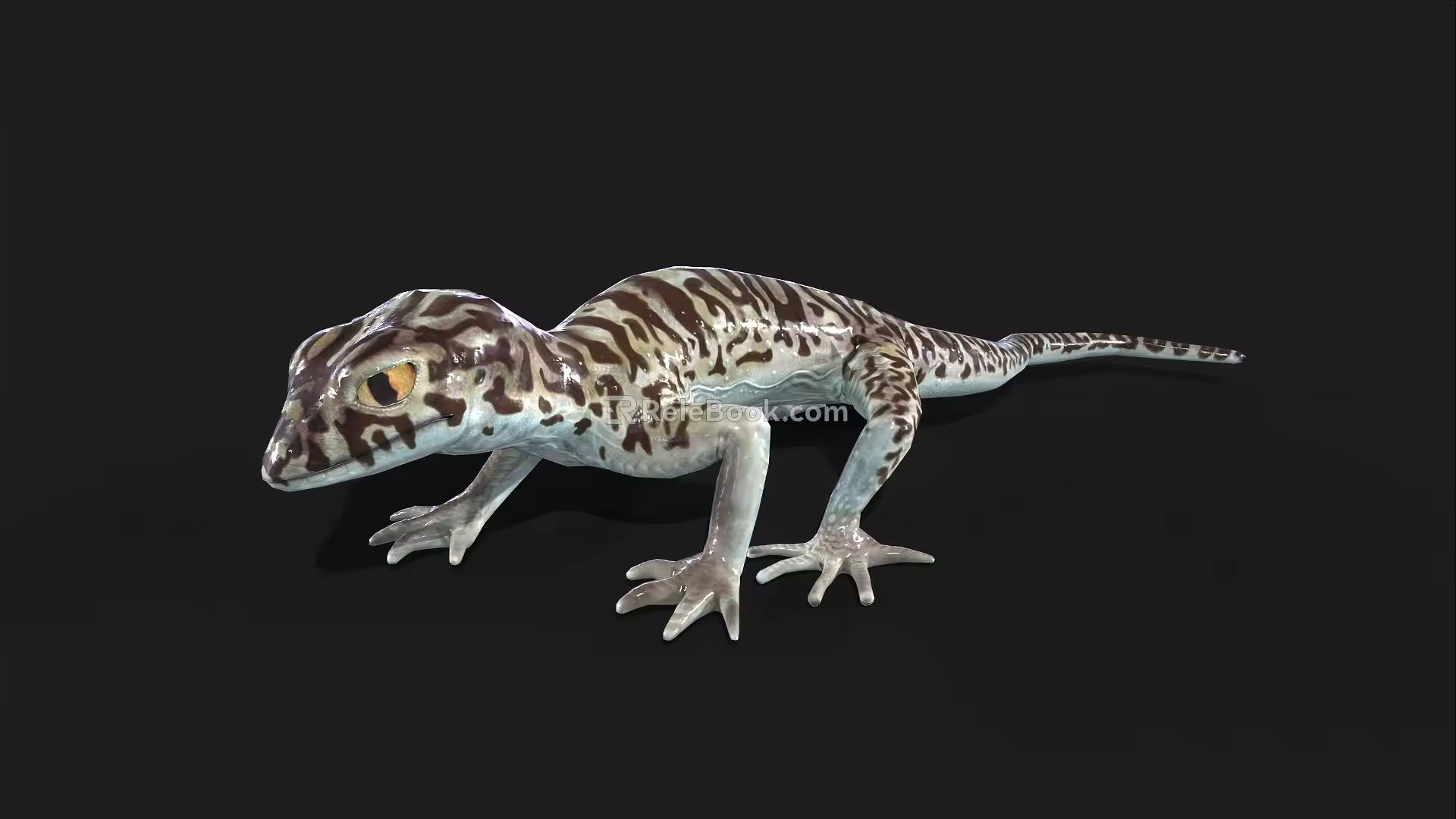 gecko lizard palace animal pet cold-blooded animal reptile 3d model