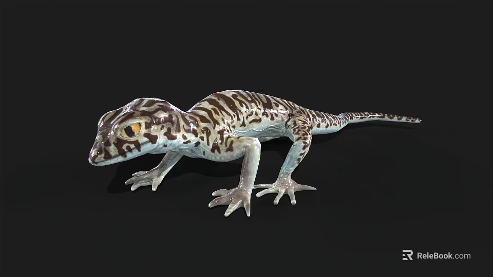 Spotted Reptile Lizard Featuring Brown White Pattern Yellow Eyes And Claws On Black Background 3d model 