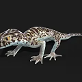 gecko lizard palace animal pet cold-blooded animal reptile 3d model