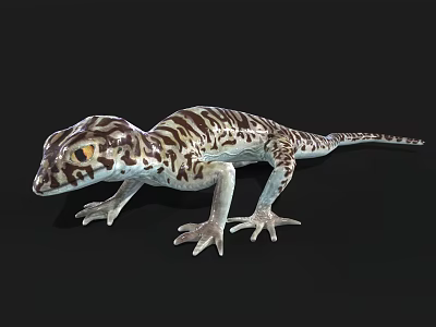 Spotted Reptile Lizard Featuring Brown White Pattern Yellow Eyes And Claws On Black Background 3d model