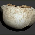 Game Movie Character Inspired Mystery Egg With Fossil Like Face Texture And Brown Uneven Surface