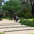 Residential Landscape With Walking Path Steps Trees Lawns And Flower Beds Near Buildings