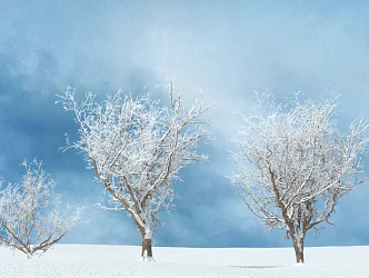 Snow Tree Modern Tree 3d model