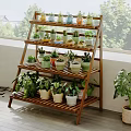 Wooden Multi Tier Plant Stand Displaying Various Potted Succulents And Green Plants