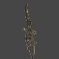 Game Movie Character Crocodile 3D Model With Open Mouth And Crawling Pose On Gray Background