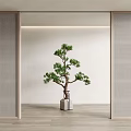 New Chinese Partition Activity Partition 3d model