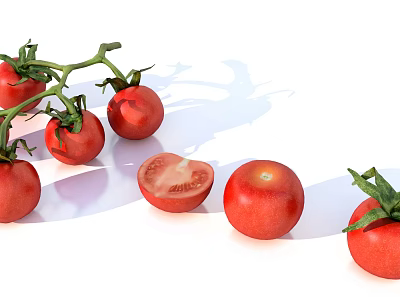 Fresh Red Ripe Tomatoes On Vine And Sliced For Healthy Nutrition 3d model